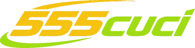 555cuci Logo